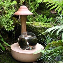 Wooden mushroom shaded planter 